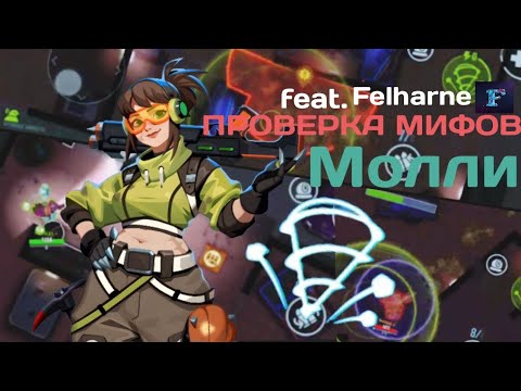Видео: Проверка Мифов Молли в Bullet Echo | feat. Felharne