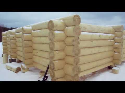 Видео: Строим деревянный дом//зимний лес или летний?//в чём разница???