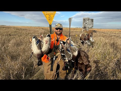 Видео: Я не промахнулся ни разу! (Охота на уток и фазанов)