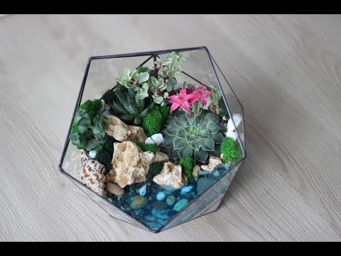 Видео: Как сделать Флорариум с водоемом