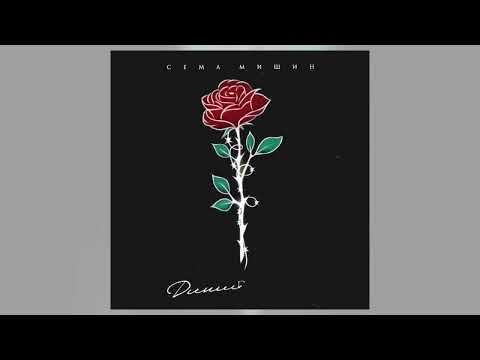 Видео: Сёма Мишин - Дикий цветок (Премьера песни, 2022)