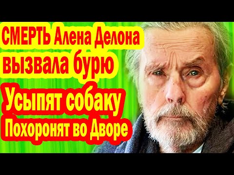 Видео: КОНЕЦ ЭПОХИ! Умер Ален Делон, Общество НЕГОДУЕТ - Последняя Воля актёра ВЫЗВАЛА ШОК!