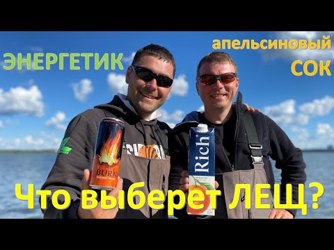 Видео: БАТЛ   апельсиновый СОК против ЭНЕРГЕТИКА, что выберет ЛЕЩ?