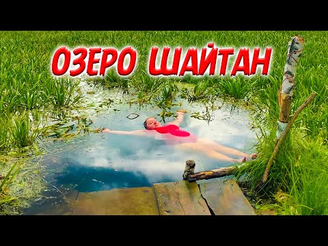 Видео: Что сейчас творится на Шайтан озере. Зачем туда едут люди? Деревня Окунево Омская область.