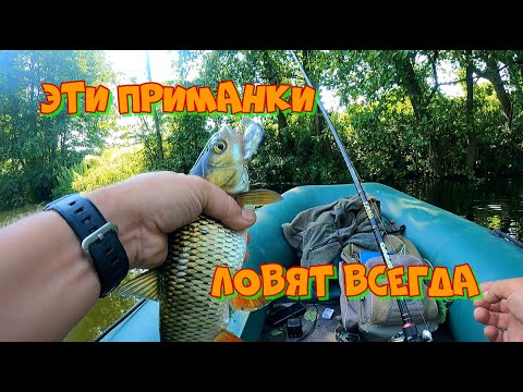 Видео: 🔴 Какие Воблеры выручают если Голавль молчит!? Рыбалка в августе по высокой воде🎣🎣🎣