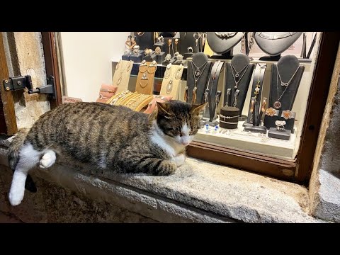 Видео: Покупки из Черногории