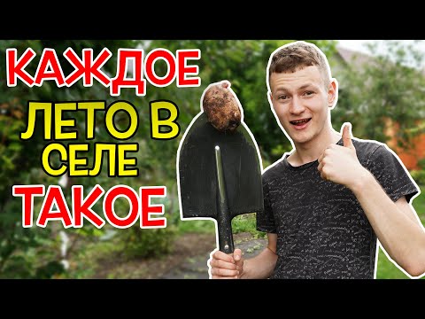 Видео: Каждое Лето в Селе Такое