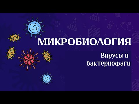 Видео: НАЧАЛО МИКРОБИОЛОГИИ | Вирусы