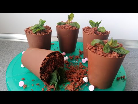 Видео: Любимый мамин цветок / шоколадный бисквит с нежным шоколадным кремом/ Family time