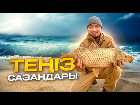 Видео: ҮЛКЕН САЗАНДАР АУЛАУ. Арал теңізі. Ыстық су. ( 1-ші бөлім )