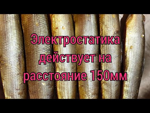 Видео: Электростатика действует на расстояние не более 150мм!!!