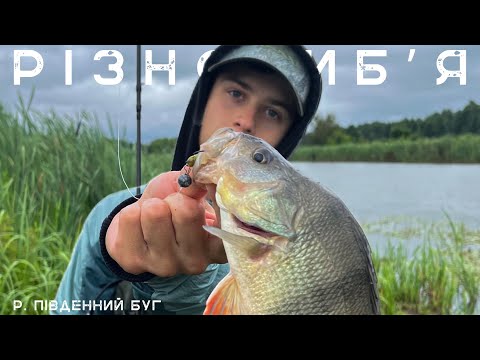 Видео: Лайтова РИБАЛКА на РІЧЦІ! Що РЕАЛЬНО спіймати зараз?