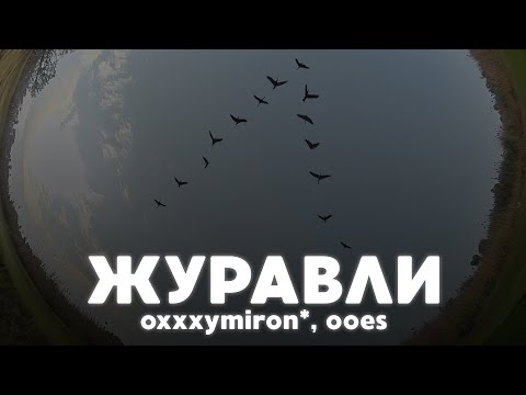 Видео: РАЗБОР БИТА журавли - oxxxymiron*, ooes