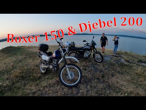 Видео: Bajaj Boxer 150 и Suzuki Djebel 200. Покатушки. 20.07.2021 г.