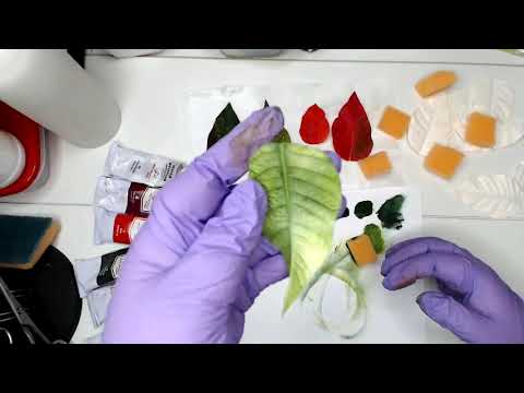 Видео: тонировка пуансеттии, запись вебинара