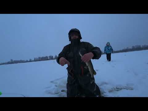 Видео: Турне на торфянники!Щука в непогоду..