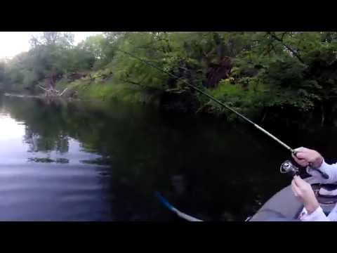 Видео: Река Сок, Самарская область. Ловля голавля.