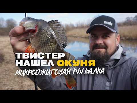 Видео: Этот Твистер Нашел Окуня Lucky John Viper 2 Рыбалка Весной на Микроджиг