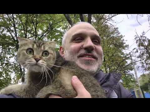 Видео: С Шанелькой кормим бездомных котиков 😊