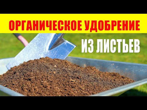 Видео: Органическое Удобрение Из Листьев. Органическое земледелие
