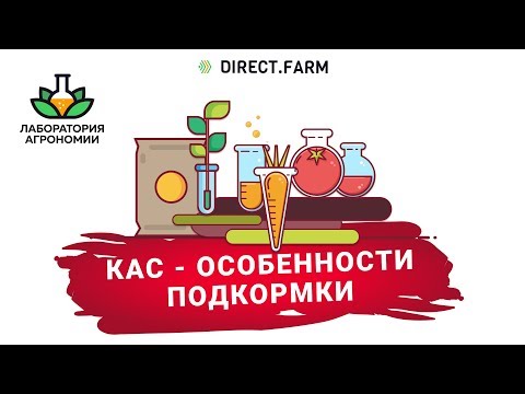 Видео: КАС – подкормка растений удобрением