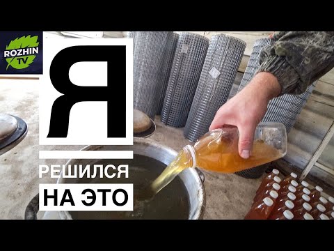 Видео: ЖИВЫЕ БАКТЕРИИ ЭКСПЕРИМЕНТ ЧАСТЬ 1