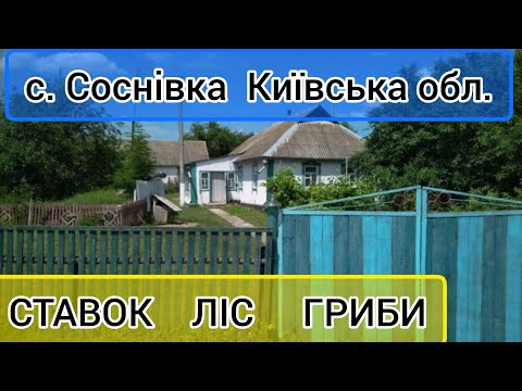 Видео: Огляд будинку в селі Соснівка, Київська область. ПРОДАЖ.