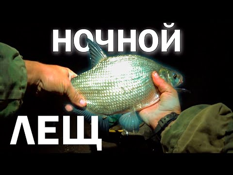 Видео: Где ловить леща летом? / рыбалка на Юмагузинском водохранилище/ лещ на фидер