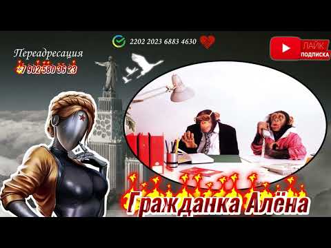 Видео: 🙈КАЗУС КУКОЦКОГО 🙈УМНАЯ ИСТЕРИЧКА🤣