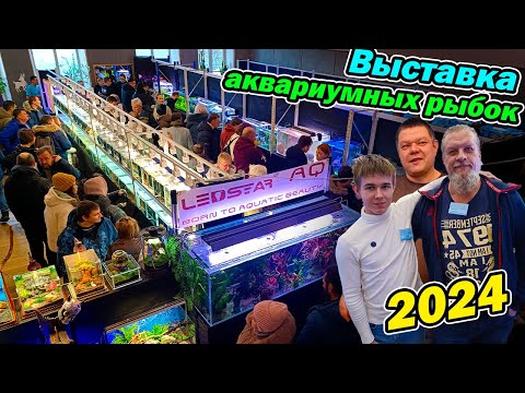 Видео: Выставка аквариумных рыбок 2024 Обзор акваскейпов и травников!