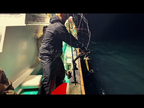 Видео: Ночная рыбалка на кальмара | Без улова не остались!