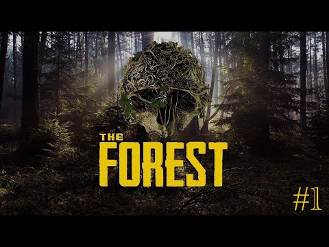 Видео: The Forest | Коопное выживание в лесу (День 1)