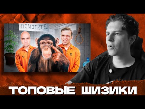 Видео: СЕИН СМОТРИТ: СОШЛИ С УМА И ПОТЕРЯЛИ ВСЁ / БЛОГЕРСКАЯ ШИЗА (ЛАРИН, ЛИКЕЙ)
