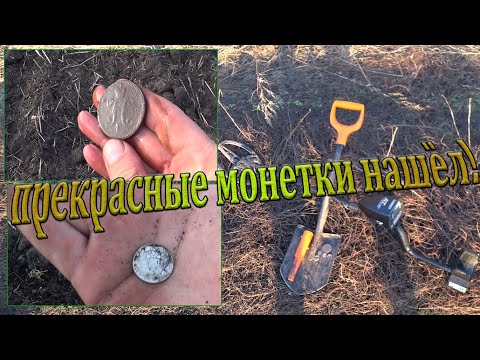 Видео: Поиск имперских монет! Нашел серебряную, и огромную медную, царские монеты! Коп с Гарретт ат про!