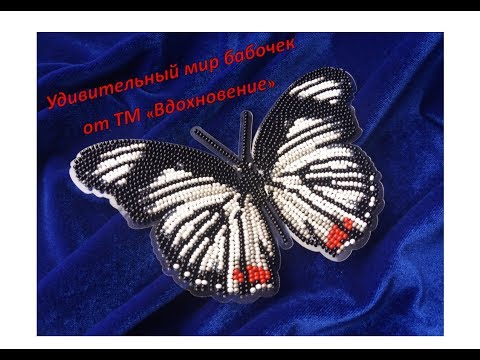 Видео: Удивительный мир бабочек от ТМ "Вдохновение"