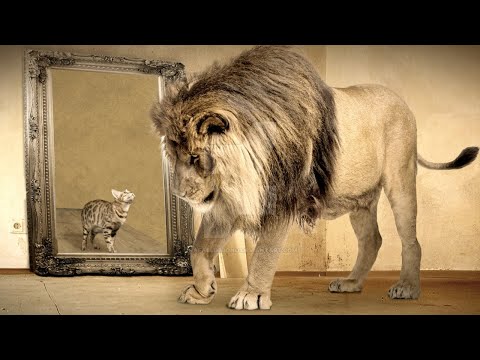 Видео: Отрицание проблем и гипноза Психолог Марина Линдхолм