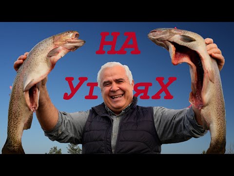 Видео: РЫБА на МАНГАЛЕ в СЕТКЕ, ДВА МАРИНАДА. ENG SUB