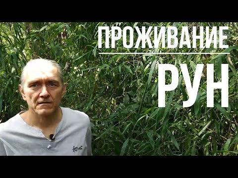 Видео: Проживание рун / Особенности энергетических взаимоотношений