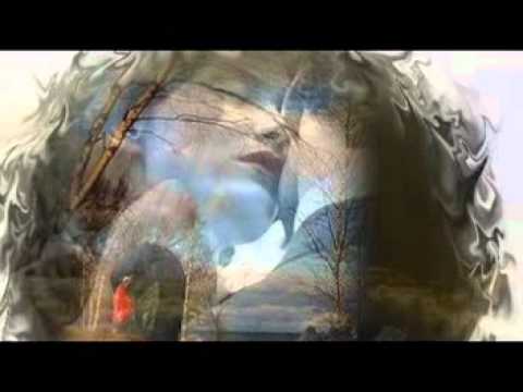 Видео: осока