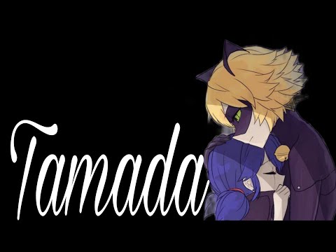 Видео: Клип Леди Баг и Супер Кот/ Тамада/ МариКот/ заказ