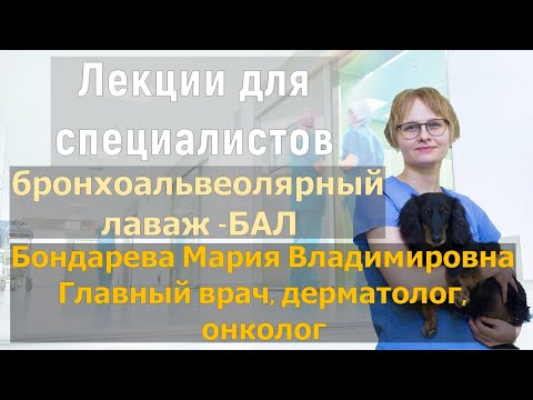 Видео: лекция   Бронхо-альвеолярный лаваж в клинической практике / ветеринарная клиника