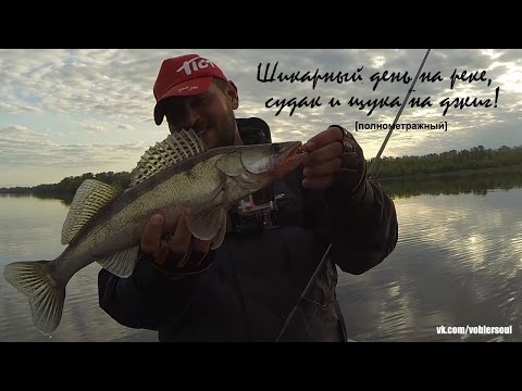 Видео: Ловля щуки и судака летом на джиг. Спиннинг на Волге.