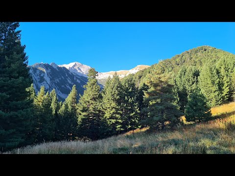 Видео: 2023-09-12 вр.Каменитица