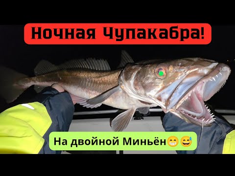 Видео: Палтус хитрый а Мерлуза ловится The halibut is cunning but the hake gets caught. Norway fishing 2025