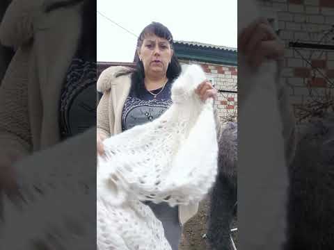Видео: 23 октября 2025 г.Утренний пуховый обзорчик.т.89020931602