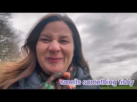 Видео: SMELLS SOMETHING FISHY 🐟 ФРАЗИ И ИЗРАЗИ НА АНГЛИЙСКИ
