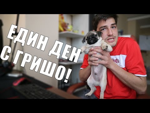 Видео: ЕДИН ДЕН С ГРИШО! MySparx Предизвикателство!