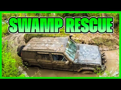 Видео: Самые лучшие — узкие болотные тропы!