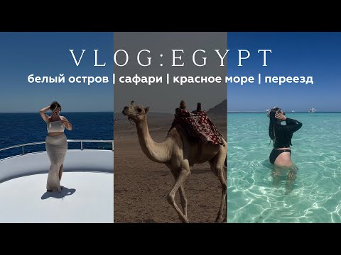 Видео: ПЕРВЫЙ РАЗ В ЕГИПТЕ 🌴 ЕГИПЕТСКИЕ МАЛЬДИВЫ, САФАРИ, КРАСНОЕ МОРЕ , ПЕРЕЕЗД