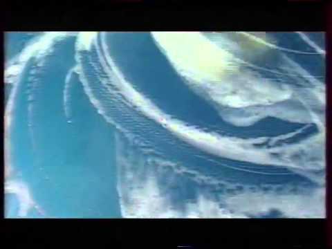 Видео: Анонсы и реклама (REN-TV,  05.12.2001). 1